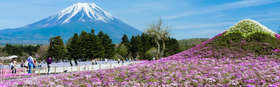 Best Time to Visit Japan – At a Glance