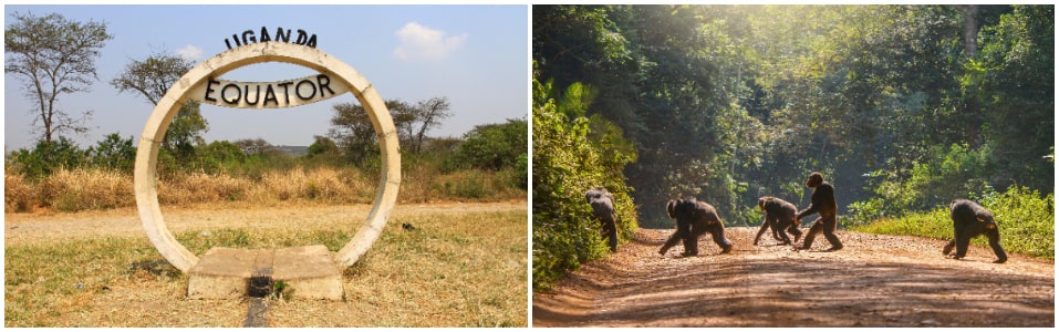 Cosas que hacer en Uganda