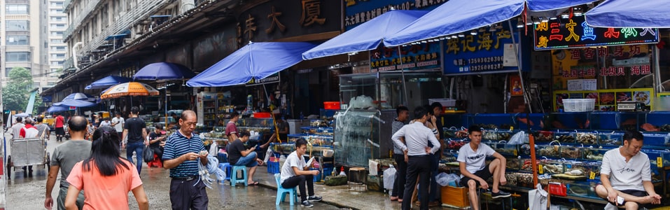 Cosas que hacer en Guangzhou