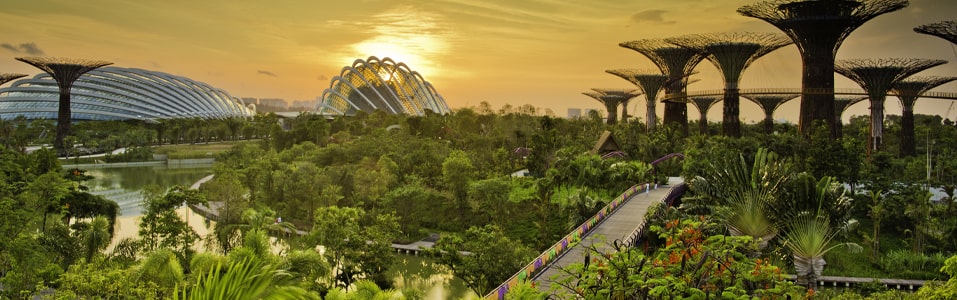 سنغافورة نظيفة وخضراء