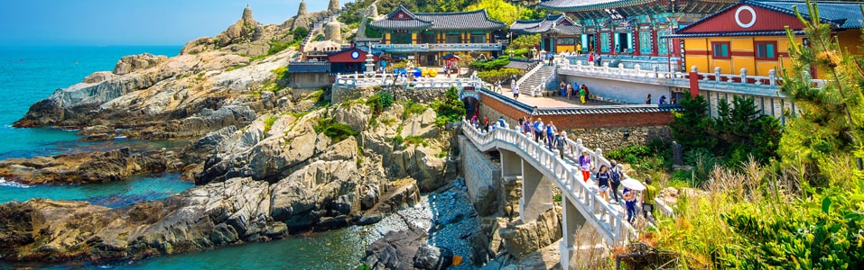 خط سير الرحلة إلى بوسان