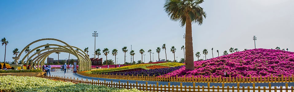 منطقة المدينة المنورة