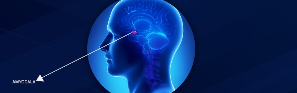 Dificultades para Gestionar las Emociones