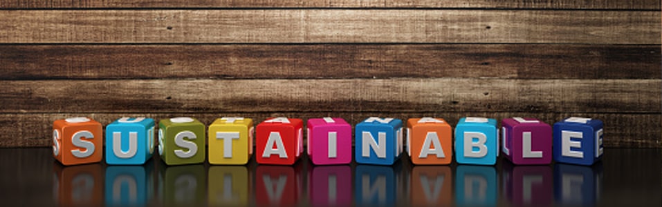 ¿Qué es la Sostenibilidad?