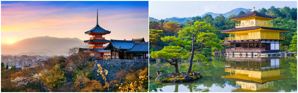 7-Day Japan Itinerary