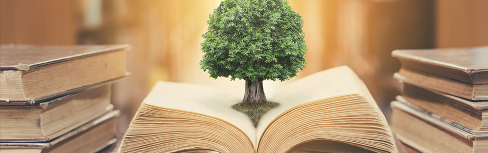 Conhecendo o Produto