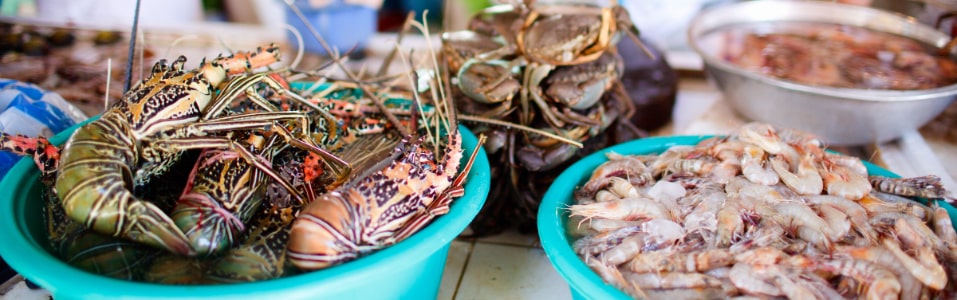 Lugares para Comer en Boracay