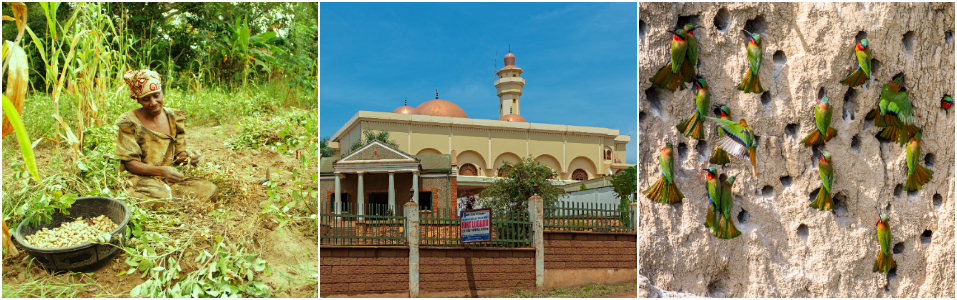 Lugares Para Ver en Uganda