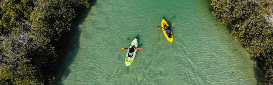 مشروع البحر الأحمر