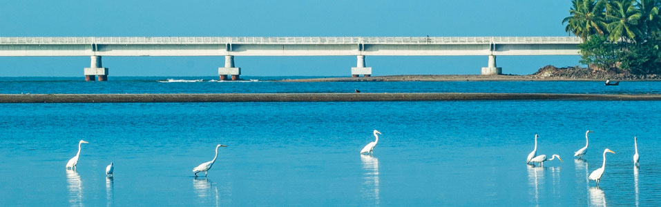 Lugares para ver em Kozhikode