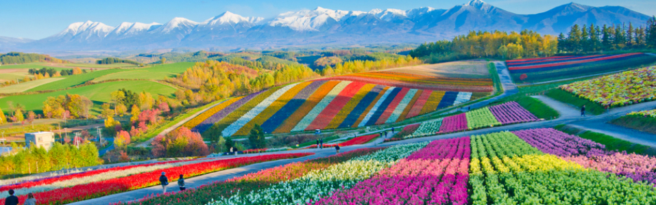 Hokkaido – Nature's Wonderland