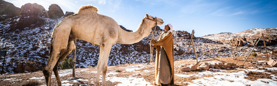 مغامرات الشتاء
