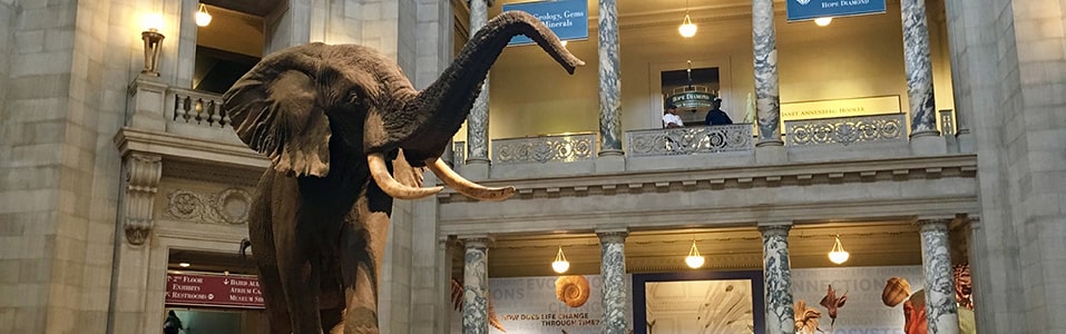 متاحف تاريخية