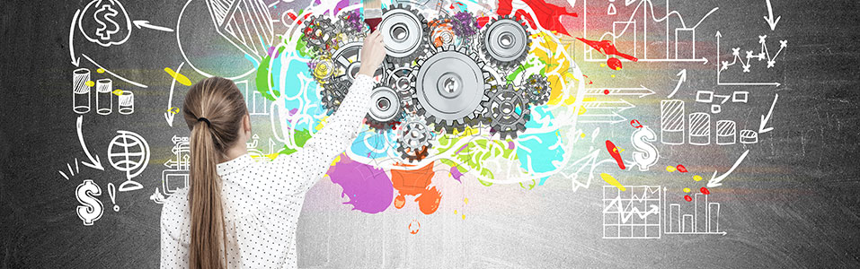 Conclusión del Comportamiento Humano