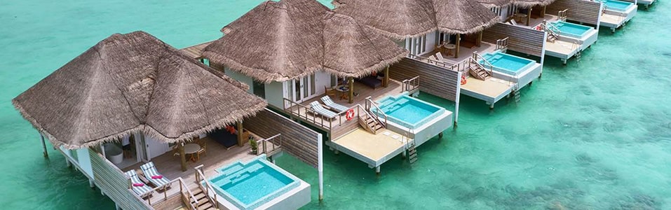 Dolphin Ocean Suite
