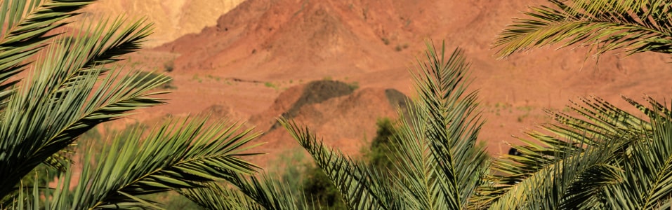 المشاريع الكبرى