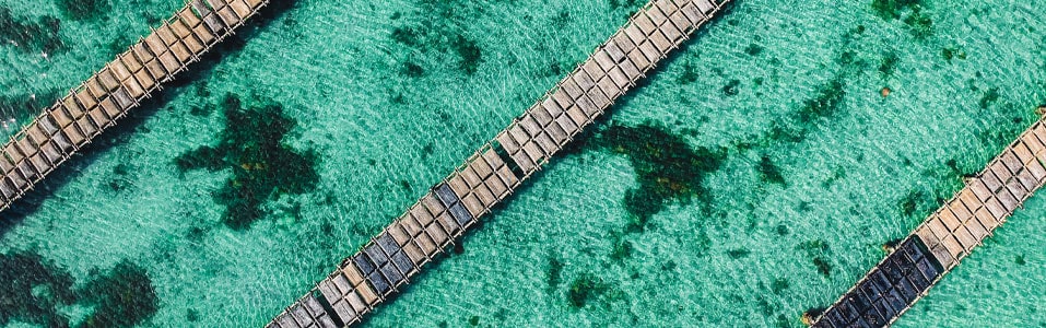 Lugares para ver en Australia