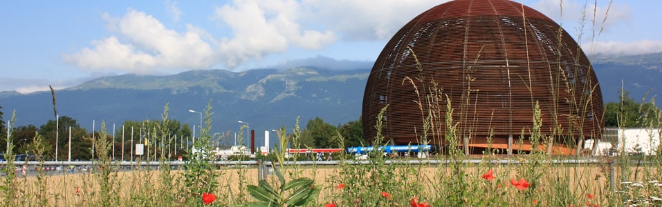 Visión General de Meyrin