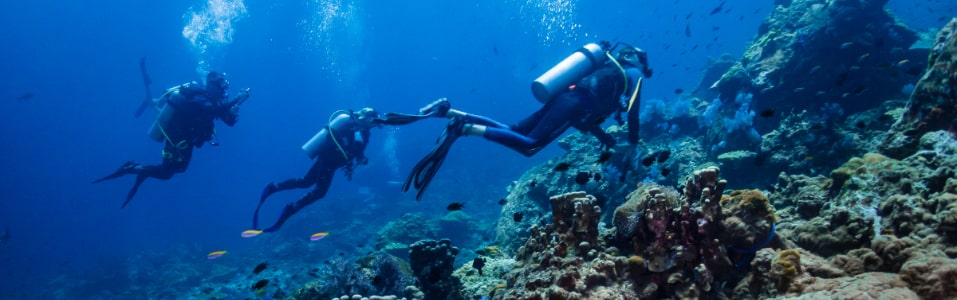 Vaya a Buceo en el Mar