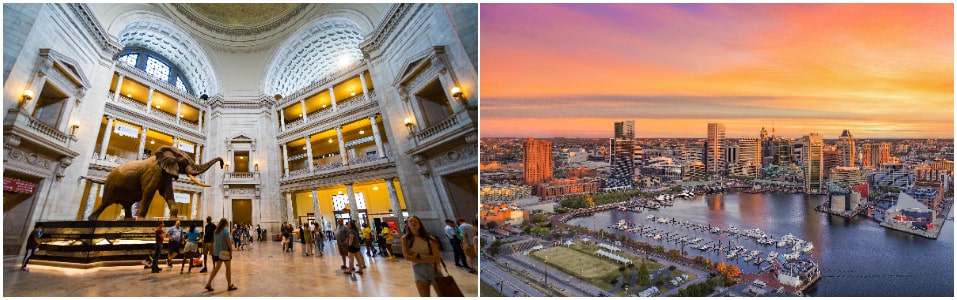 Itinerario del Tour general de un día por Washington, DC