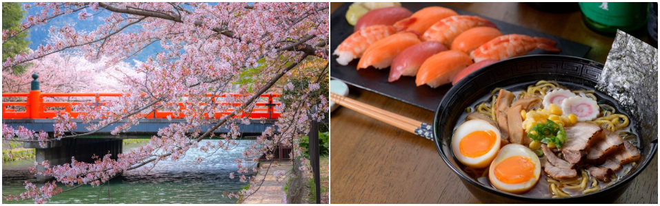 Unique Things to do in Japan