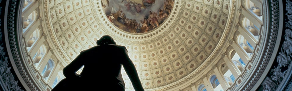 معالم رئيسية حول المول الوطني