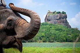 Sri Lanka