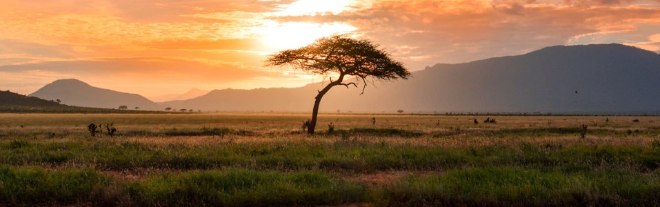 Por qué el Turismo Sostenible