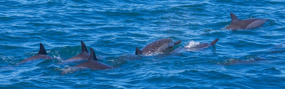 Recomendaciones de la Oficina de Turismo de Mauricio