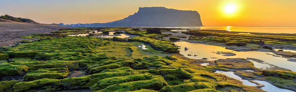 قمة سيونجسان إيلتشولبونج (موقع تراث طبيعي عالمي لليونسكو)