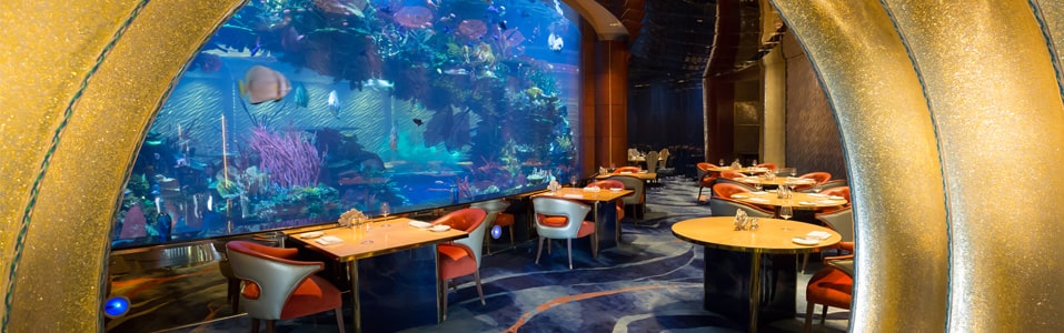 LOS 10 MEJORES LUGARES PARA DISFRUTAR DE LAS DELICIAS DE DUBAI