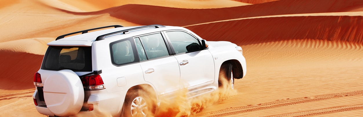 Adventurous Desert Safari