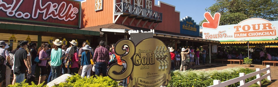 Las mejores cosas que hacer