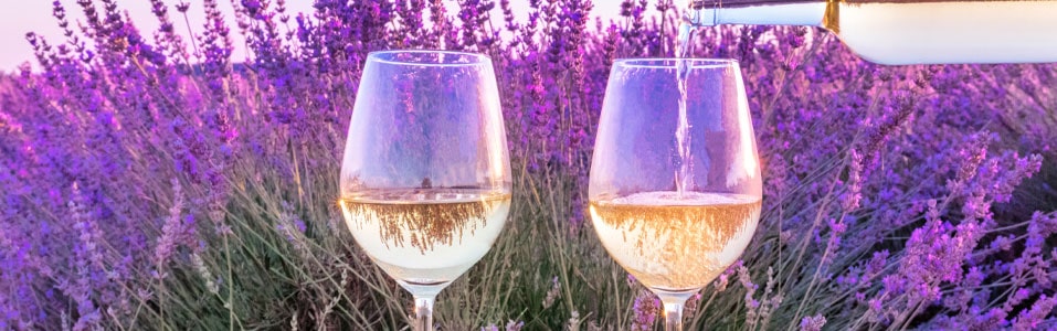 أشهى المأكولات في الريفييرا الفرنسية