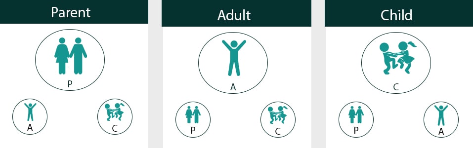 Descripción general de retratos de ego