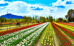Top Itineraries