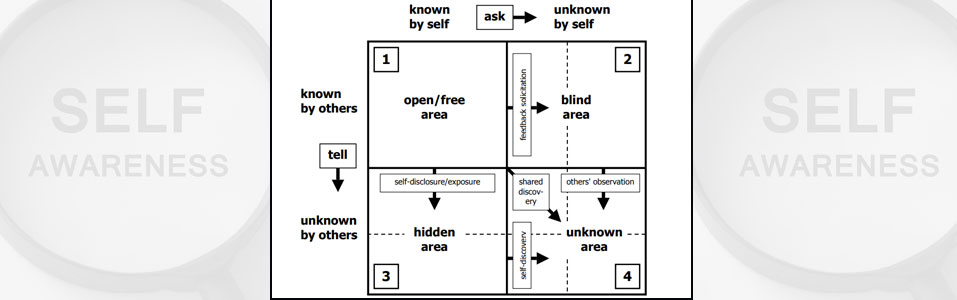 فن الوعي الذاتي