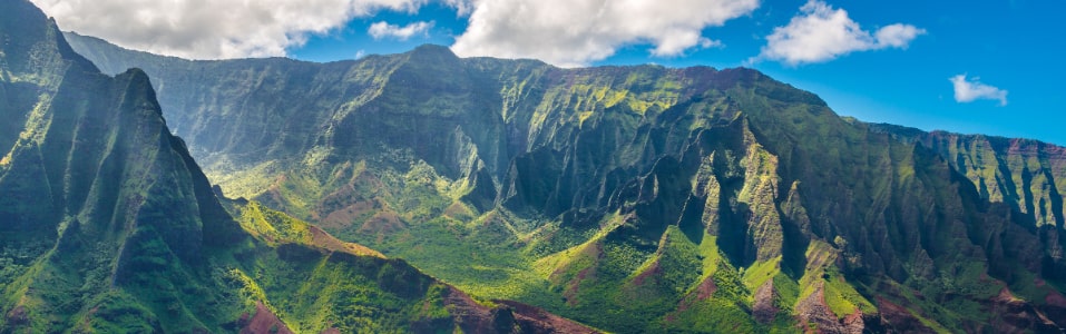 Número ideal de días