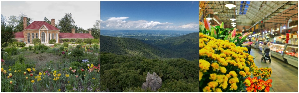 Itinerario del Tour general de un día por Washington, DC