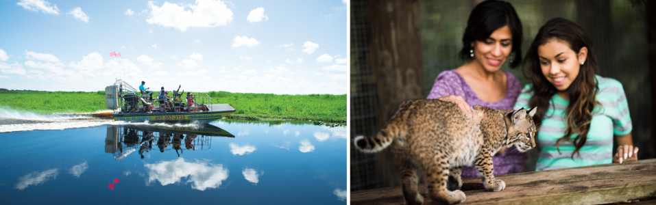 خط سير الرحلة لمدة ثلاث ليالي في كيسيمي