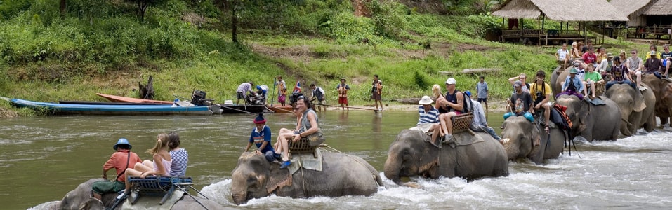 Actividades para la familia