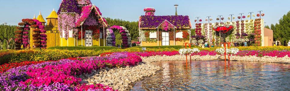 Dubai Miracle Garden (Jardín Milagroso de Dubai)