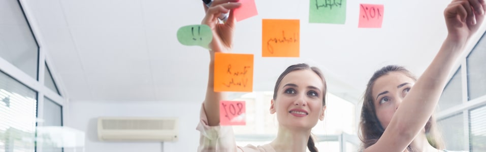 تحديد الأولويات وتنظيمها