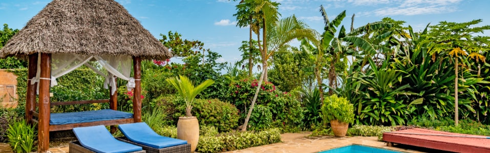 Lugares para Alojarse en Zanzíbar