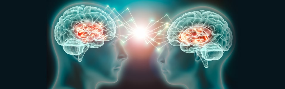 usar seu próprio idioma