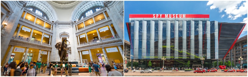 Museo Nacional de Historia Natural y Museo Internacional del Espionaje