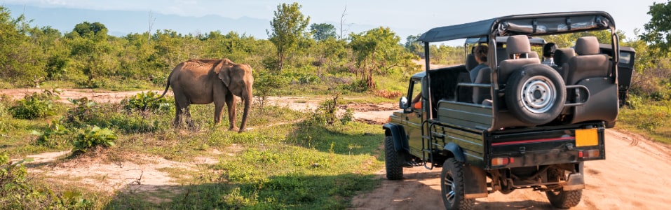 Cosas que Hacer en Mozambique