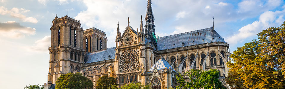 Notre Dame de París (Catedral de Notre Dame)