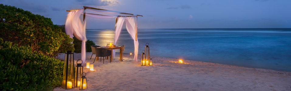 Dining by Design