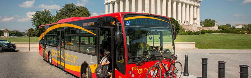 حافلة ذا سيركولاتور